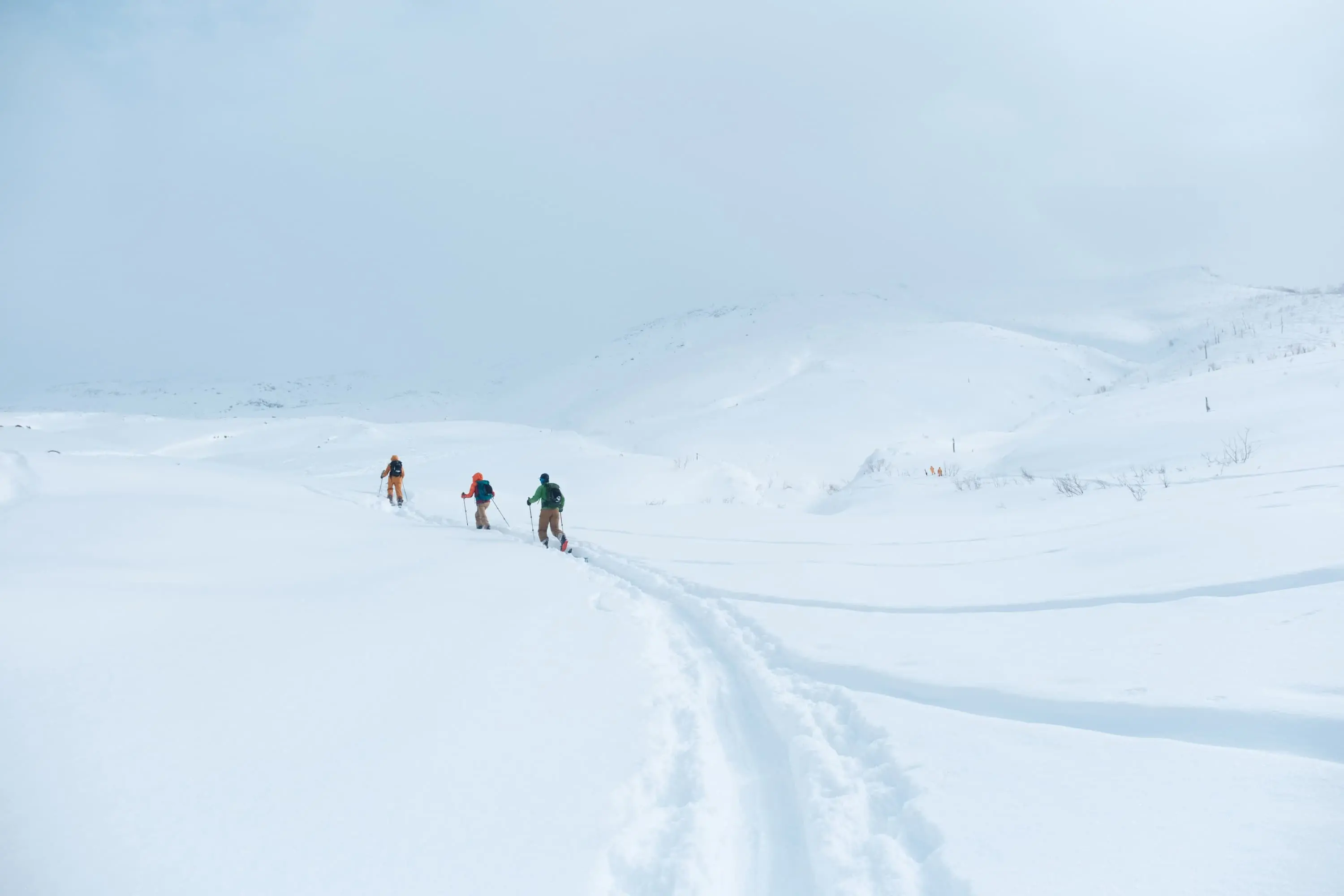 A guided day tour near Furano Backcountry group skinning up open slopes on a day tour in Hokkaido