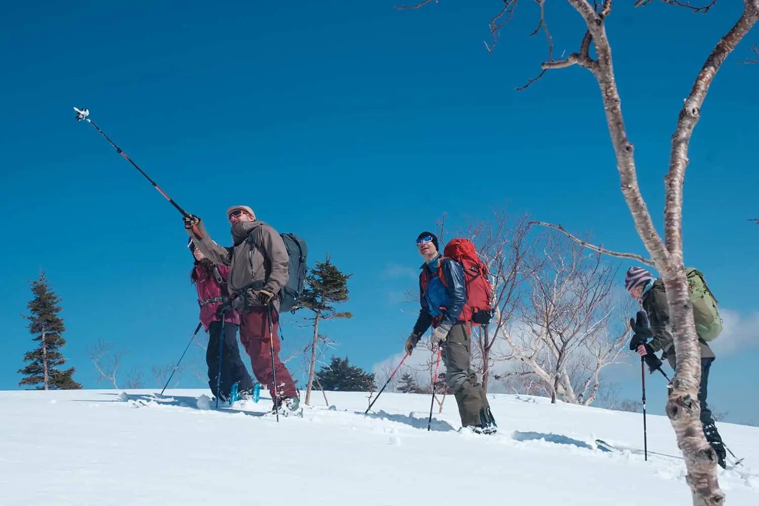 Backcountry skiing in Hokkaido